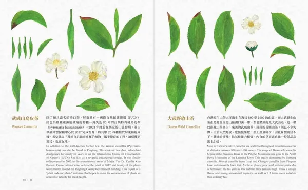 屏東特有種 種籽設計_06.jpg