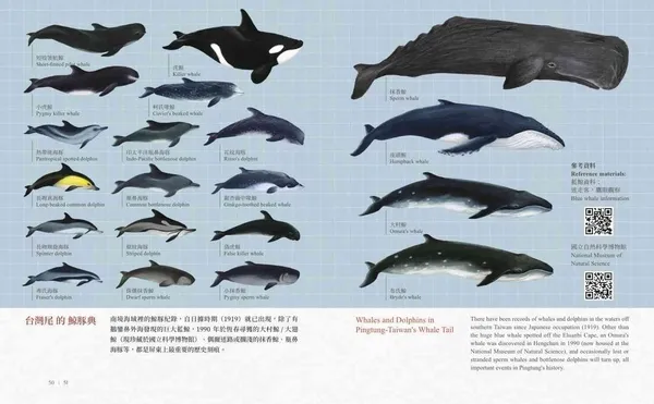 屏東特有種 種籽設計_12.jpg
