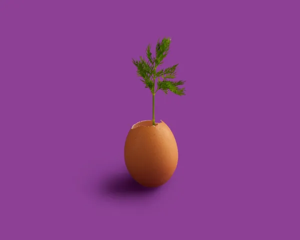 植物性食物正夯！新加坡新創推出植物雞蛋解決食物短缺問題 