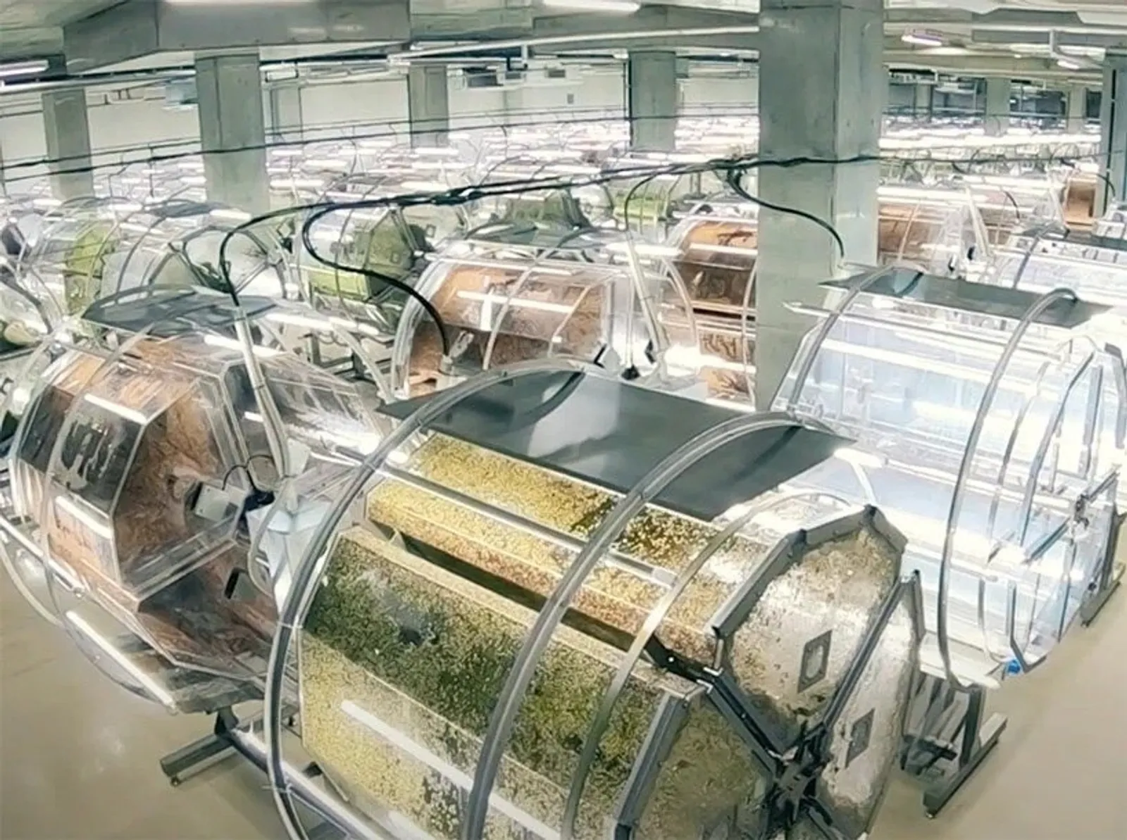 全人工光照、產能增 3 倍！日本最大芽菜工廠，從種植到採收全面自動化