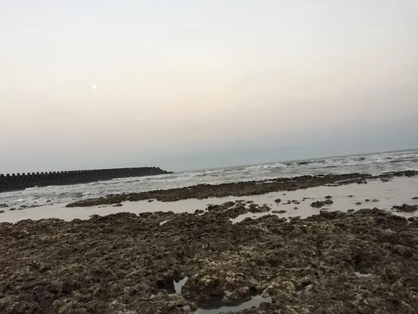 大潭藻礁