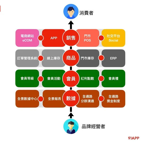 OMO四大軸線
