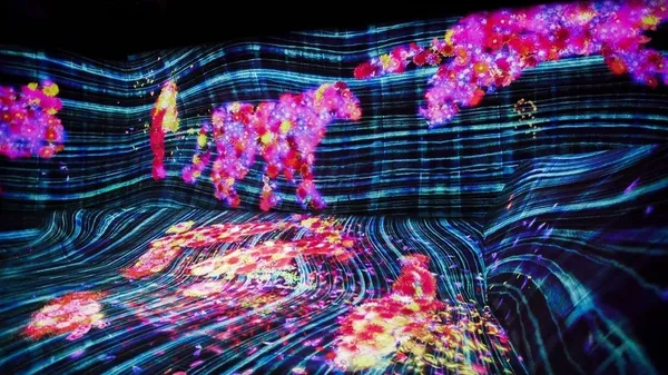 teamlab02.jpg