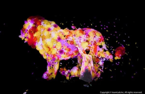 teamLab_與花共生的動物們 II.jpg