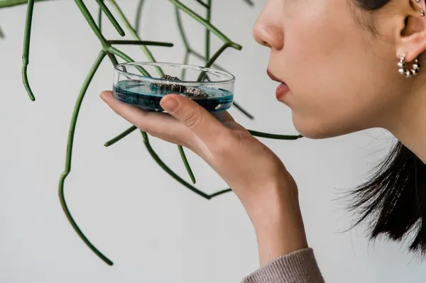 氣味培養皿＿情境照4.jpg