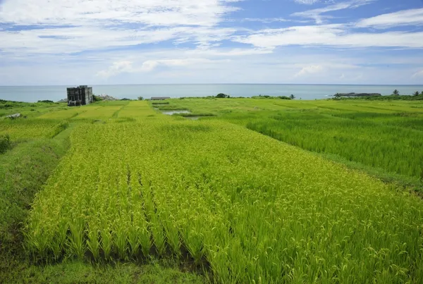 緩慢尋路 石梯灣 118 花蓮