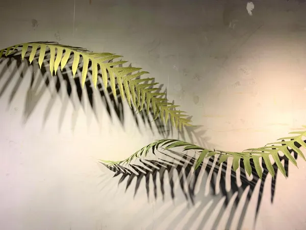 2021 紙蕨 展 樹火紙紀念博物館