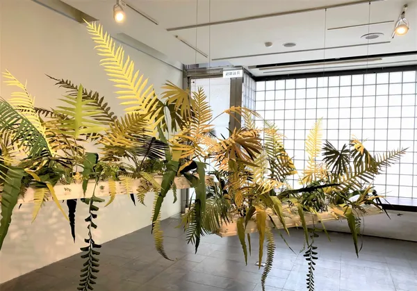 2021 紙蕨 展 樹火紙紀念博物館