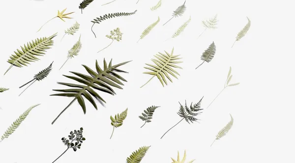 2021 紙蕨 展 樹火紙紀念博物館