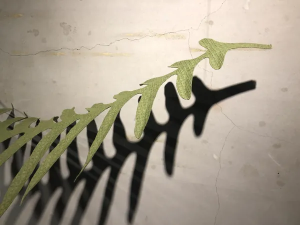紙蕨 樹火紀念紙博物館 11
