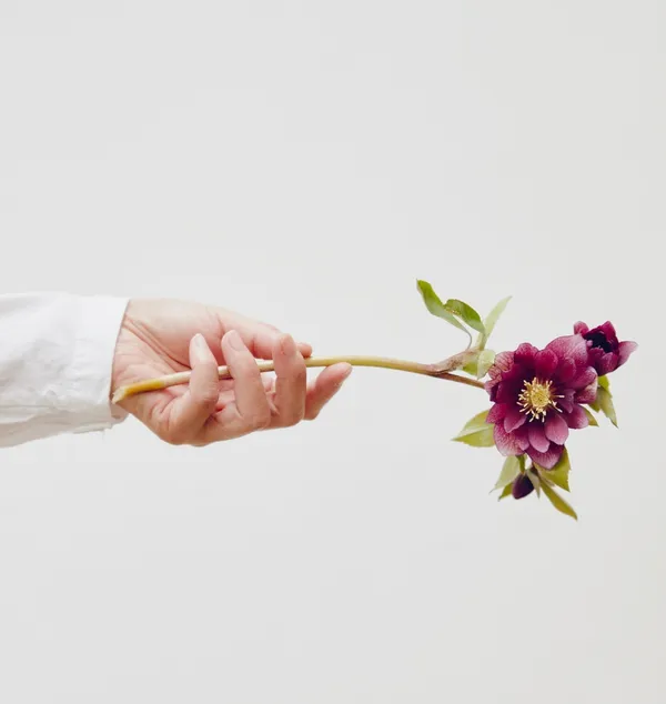 安代哈維 P69_KINFOLK 綠藝_三采文化 © Renée Kemps.jpg