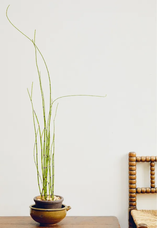 安代哈維 P75_KINFOLK 綠藝_三采文化 © Renée Kemps.jpg