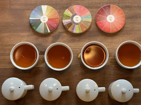 顧瑋COFE風味輪