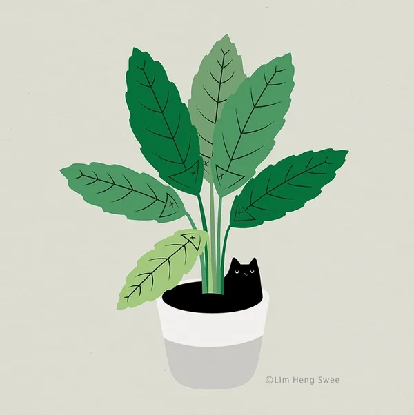 Lim Heng Swee 林行瑞 貓與植物插畫 03.jpg