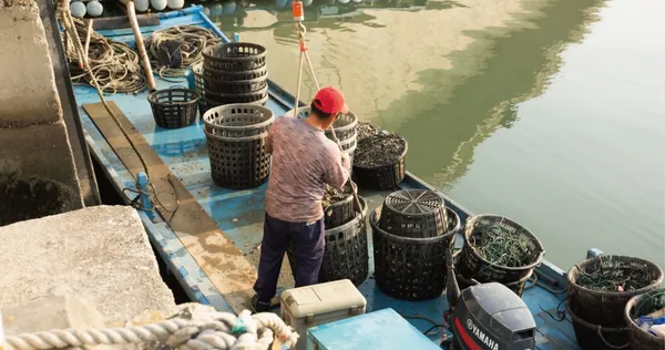 嘉義布袋觀光魚市改造計畫10.jpg