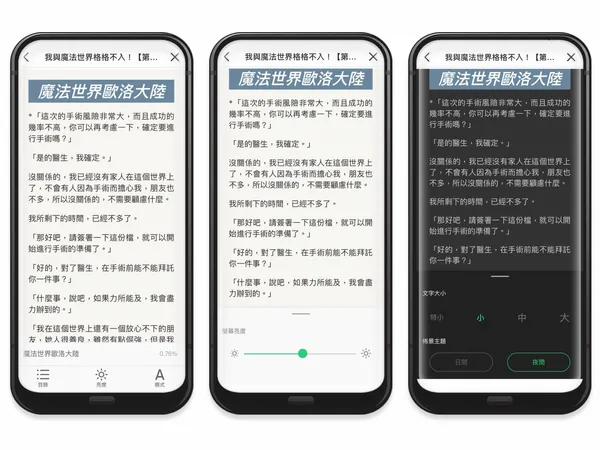 圖四：「文學星」提供讀者多元的閱讀模式選擇，可自行調整字形大小、亮度、佈景主題等，提升閱讀舒適性.j