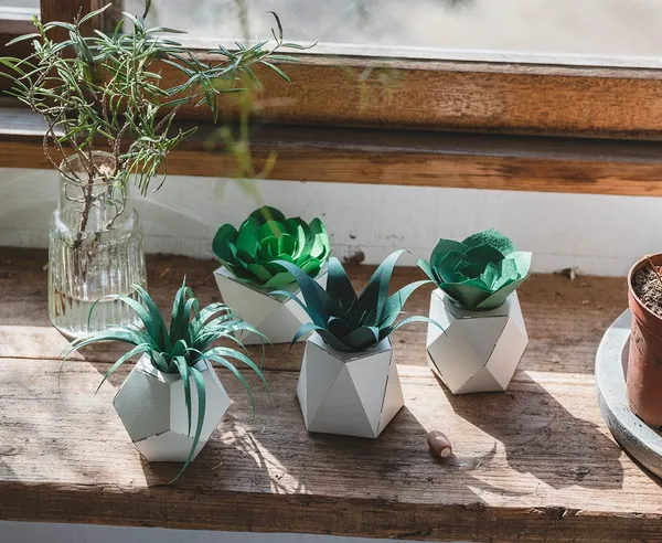 日本手工植物紙雕「PAPELANTS」3.jpeg