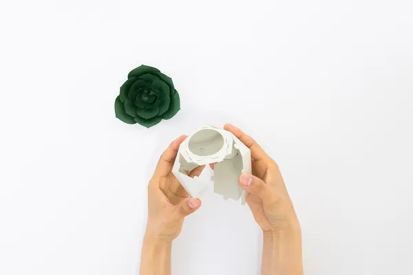 日本手工植物紙雕「PAPELANTS」24.jpeg