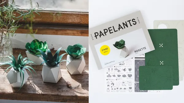 在家也能動手做！日本手工植物紙雕「PAPELANTS」：多肉植物、仙人掌等 8 款植栽，打造超療癒居家環境