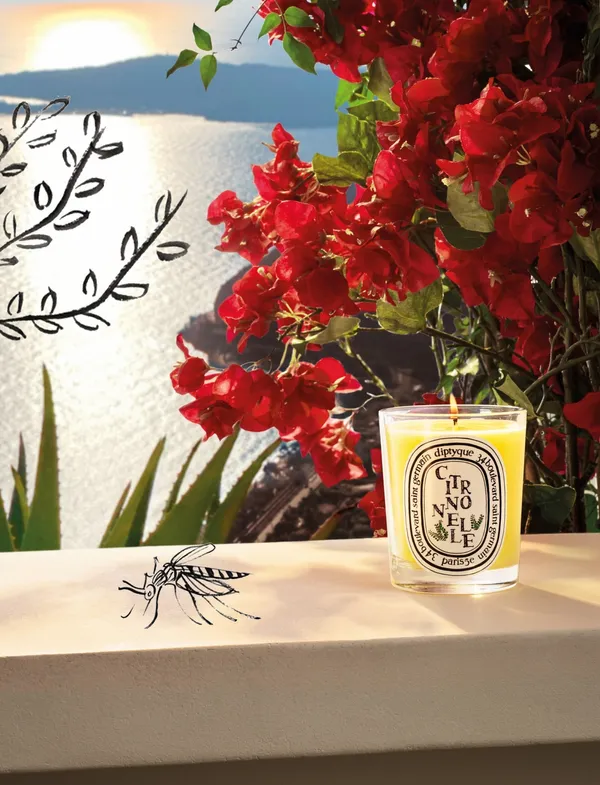 DIPTYQUE 2021限量檸檬草香氛蠟燭 190g NT$2,300_3.jpg