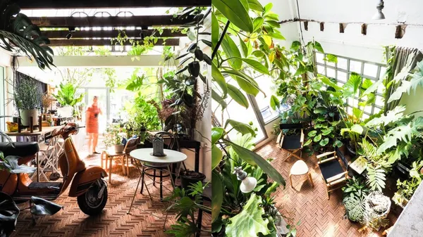 舊建築改造的綠意叢林！結合咖啡館與工作室，曼谷「TOO CAN CAFE」闢出挑高空間讓植物自然伸展