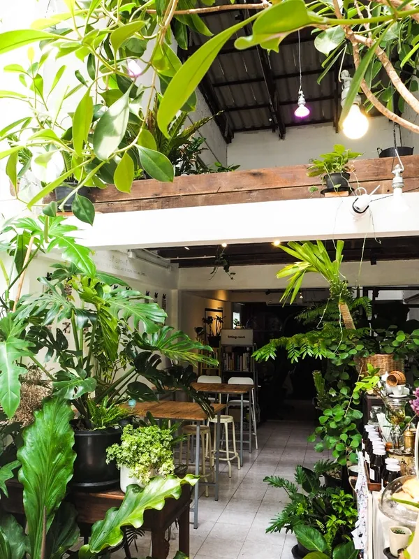 曼谷toocancafe-fb01.jpg