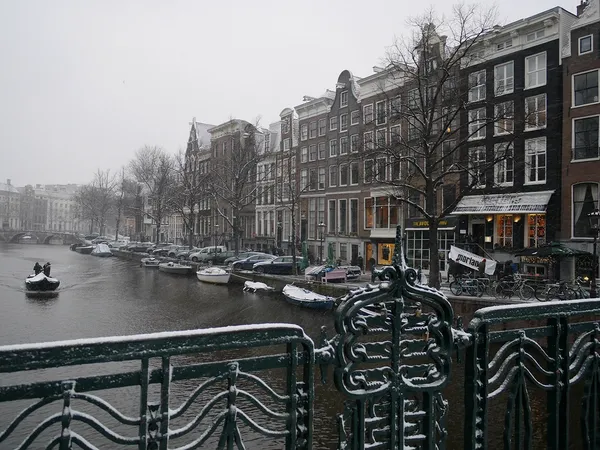 葉珊_P1060566.JPG