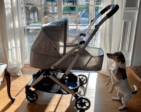Uppababy-03.png