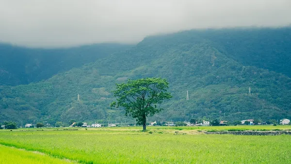 東漂探探路