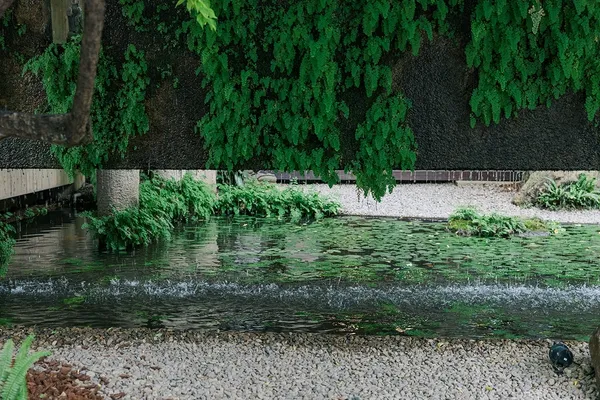 菩薩寺_478A0761.jpg