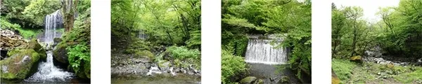 新日光市識別設計 10.jpg