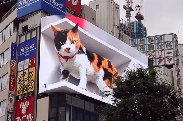 新宿東口の猫1.jpeg