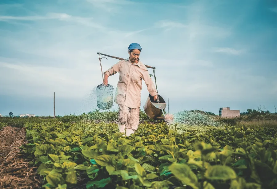 拼 2030 年糧食自給率達 45%！日本要如何靠數位農業翻轉國安危機？