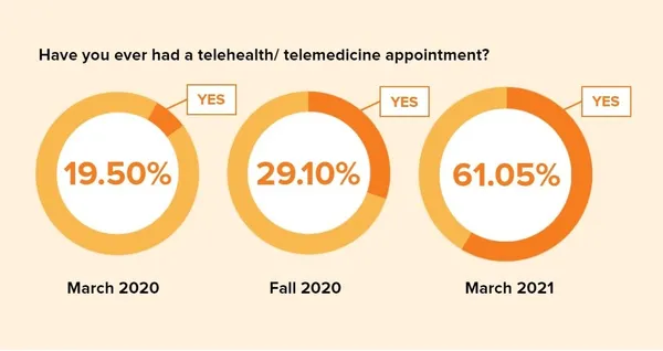 skse telehealth