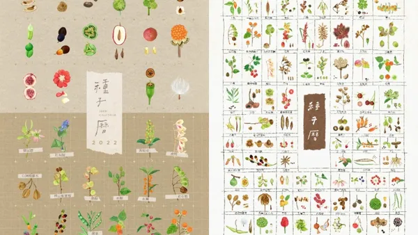 種籽設計 2022 年種子曆登場！集結 365 種民族、特有種等植物，訴說萌發奇蹟的無限可能