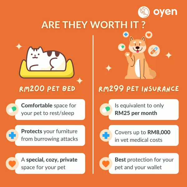 pet insurance.png