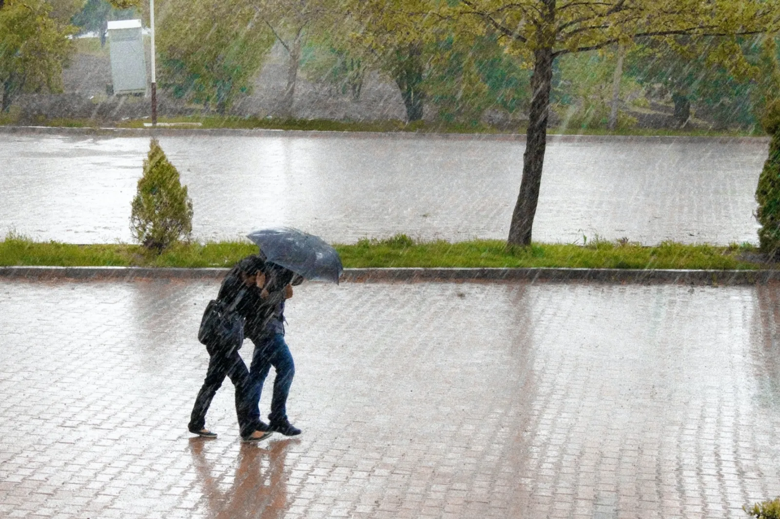 暴雨、野火頻傳，AI 是對抗極端氣候的救星嗎？