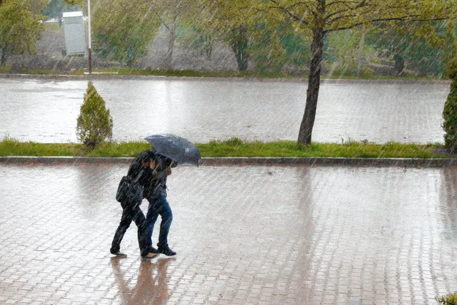 暴雨、野火頻傳，AI 是對抗極端氣候的救星嗎？