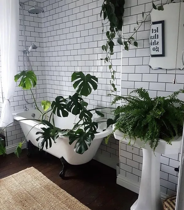 IG 植栽推薦 02.jpg