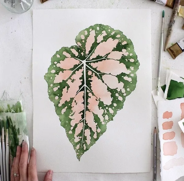 IG 植栽推薦 10.jpg