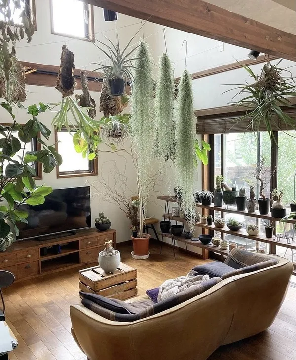 @botanical.0715 植栽 IG 推薦 02.jpg