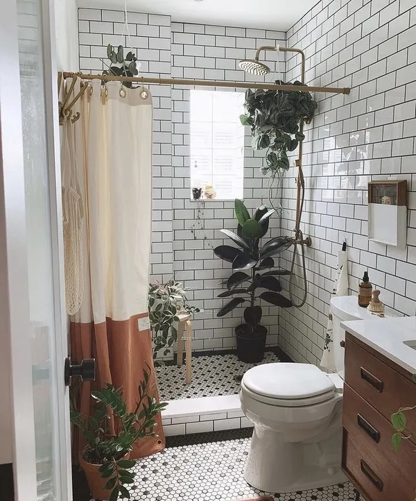 @earthwindandcactus 植栽 IG 推薦 新圖 02.jpg