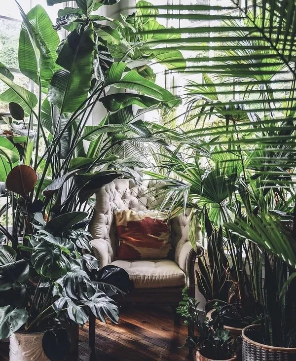 @earthychildren 植栽 IG 推薦 01.jpg