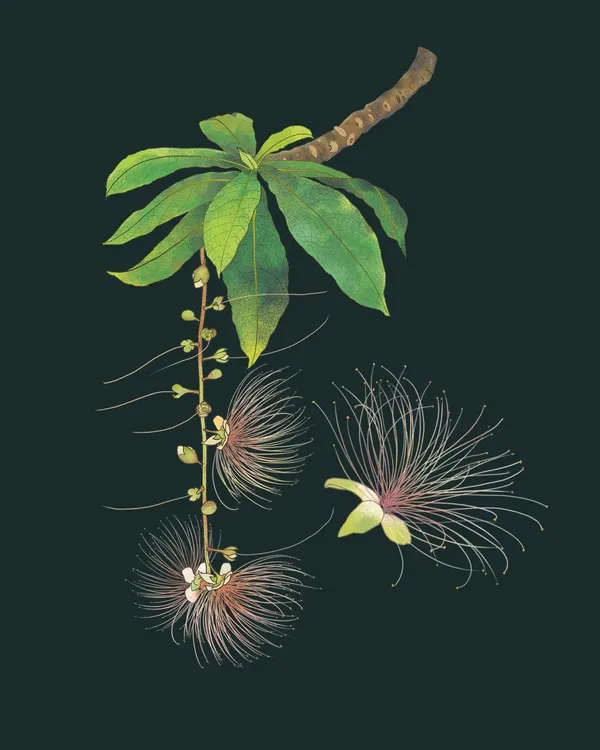芝山生態綠園手冊 5.jpg