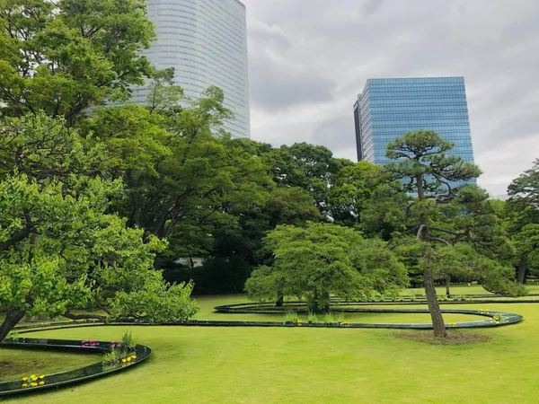 妹島和世的水明.jpg