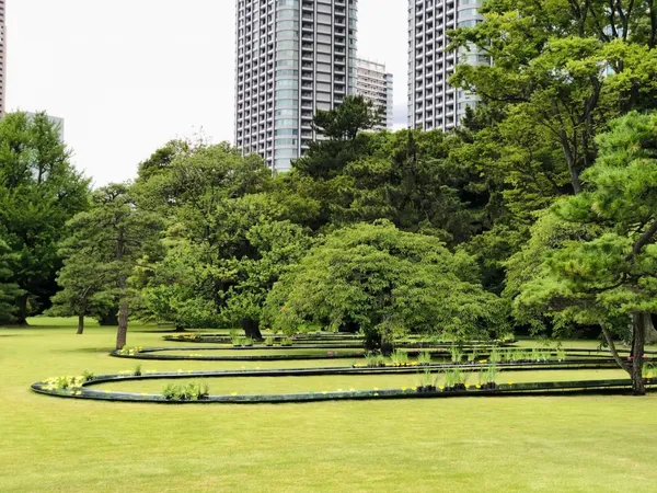妹島和世的水明.jpg