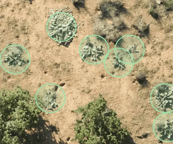 DS 4.png