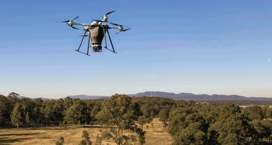 AI影像識別結合無人機，英國牛津新創Dendra Systems打造土地復育「全套工具組」