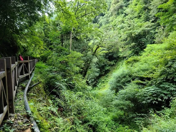 雄獅旅遊推出「相揪去桃園」兩天一夜團體遊程
