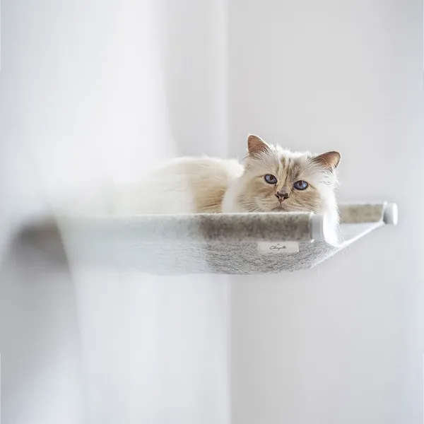 Swing 貓吊床 01.jpg